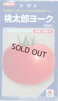 送料無料　[トマト/桃太郎系]　桃太郎ヨーク　1000粒　タキイ種苗(株)