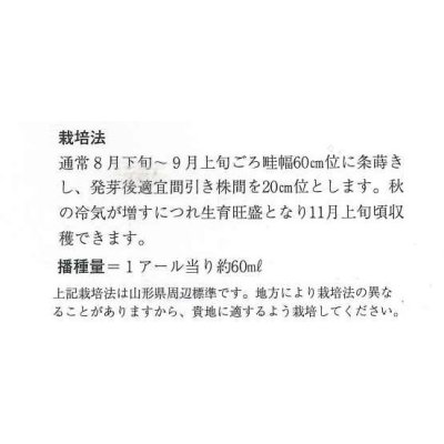 画像2: 送料無料　[葉物]　山形せいさい　20ml　山形県種苗株式会社