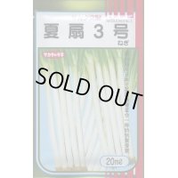 送料無料　[ねぎ]　夏扇3号　20ml(裸種子)　(株)サカタのタネ