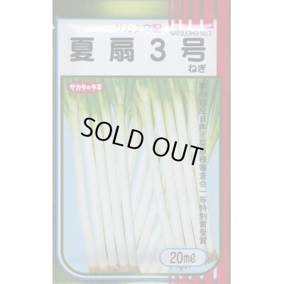 画像1: 送料無料　[ねぎ]　夏扇3号　20ml(裸種子)　(株)サカタのタネ