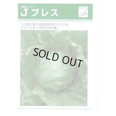 画像3: 送料無料　[レタス]　Ｊブレス　ペレット5000粒　タキイ種苗(株)