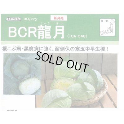 画像2: 送料無料　[キャベツ]　ＢＣＲ龍月　160粒　タキイ種苗(株)　DF