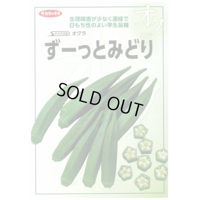 画像2: 送料無料　[オクラ]　ずーっとみどり　1万粒　(株)サカタのタネ