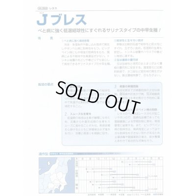 画像4: 送料無料　[レタス]　Ｊブレス　ペレット5000粒　タキイ種苗(株)