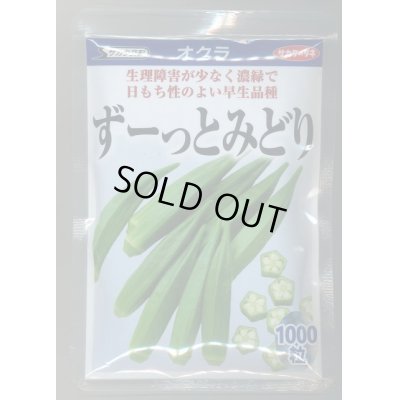 画像1: 送料無料　[オクラ]　ずーっとみどり　1000粒　(株)サカタのタネ