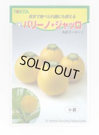 送料無料　[ズッキーニ]　パリーノシリーズ　10粒　ジャッロ　トキタ種苗(株)