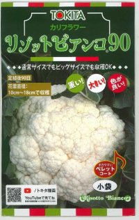 送料無料　カリフラワー　リゾットビアンコ90　50粒　トキタ種苗(株)