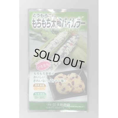 画像1: 送料無料　[とうもろこし]　もちもち太郎バイカラー　20ml(約70粒)　大和農園