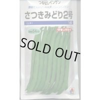 送料無料　[いんげん]　さつきみどり2号　1dl(およそ270粒)タキイ種苗