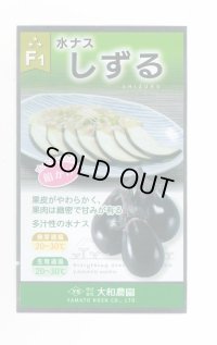 送料無料　[なす]　しずる茄子　50粒　大和農園