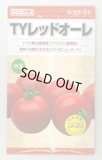 送料無料　[トマト/中玉トマト]　TYレッドオーレ　1000粒　カネコ交配