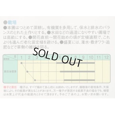 画像2: 送料無料　[なす]　白長茄子　約60粒　中原採種場(株)