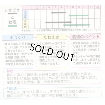 画像2: 送料無料　[葉物]　青ちりめんしそ　8ml　(株)タカヤマシード