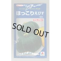 送料無料　[かぼちゃ]　ほっこりえびす　100粒　タキイ種苗(株)