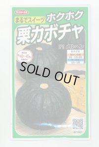 送料無料　[かぼちゃ]　メルヘン　約10粒　(株)サカタのタネ　実咲450（002867）