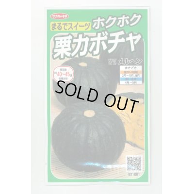 画像1: 送料無料　[かぼちゃ]　メルヘン　約10粒　(株)サカタのタネ　実咲450（002867）