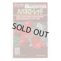 送料無料　[とうがらし]　ハバネロ・レッド　30粒　トキタ種苗(株)