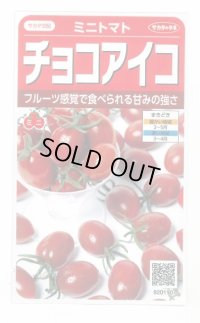 送料無料　[トマト/ミニトマト]　チョコアイコ　13粒　(株)サカタのタネ　実咲550（003244）