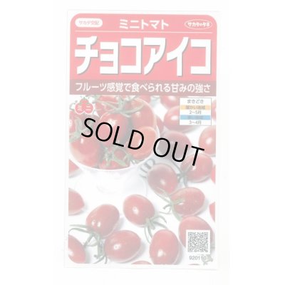 画像1: 送料無料　[トマト/ミニトマト]　チョコアイコ　13粒　(株)サカタのタネ　実咲550（003244）