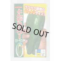 送料無料　[ピーマン]　とんがりパワー　500粒　ナント種苗(株)