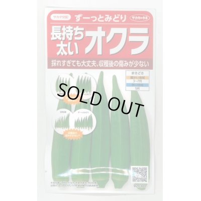 画像1: 送料無料　[オクラ]　ずーっとみどり　約40粒　(株)サカタのタネ　実咲350（003253）