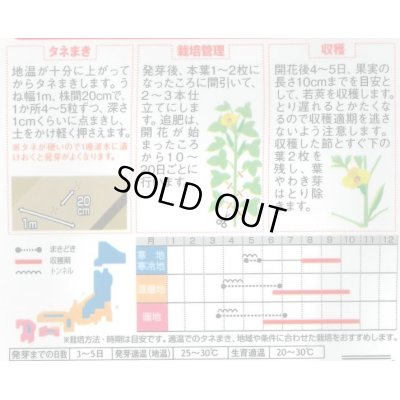 画像4: 送料無料　[オクラ]　ずーっとみどり　約40粒　(株)サカタのタネ　実咲350（003253）