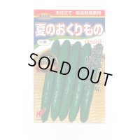 送料無料　[キュウリ]　夏のおくりもの　20粒　渡辺交配