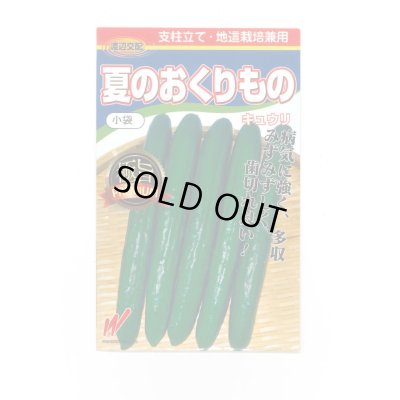 画像1: 送料無料　[キュウリ]　夏のおくりもの　20粒　渡辺交配