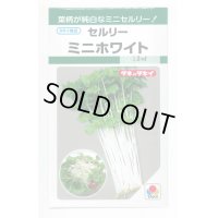 送料無料　[葉物]　セルリー　ミニホワイト　1.5ml　タキイ種苗(株)　GF