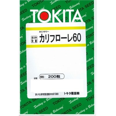 画像1: 送料無料　[イタリア野菜]　カリフローレ60　200粒　トキタ種苗(株)