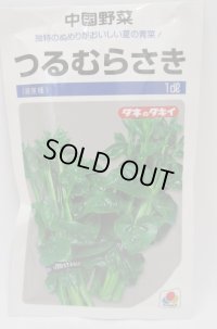 送料無料 [中国野菜]　つるむらさき　1dl（およそ1625粒）　タキイ種苗