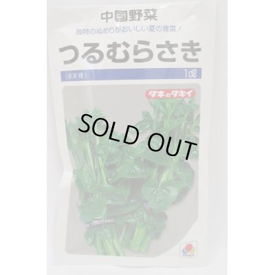 中国野菜 つるむらさき 1dl タキイ種苗 野菜種 中国野菜 グリーンロフトネモト直営