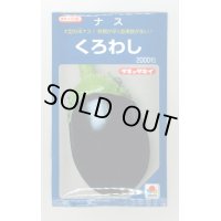 送料無料　[なす]　くろわし　2000粒　タキイ種苗(株)