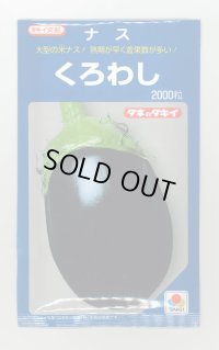 送料無料　[なす]　くろわし　2000粒　タキイ種苗(株)