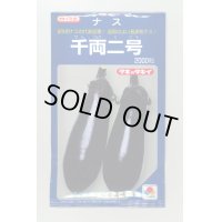 送料無料　[なす]　千両二号　2000粒　タキイ種苗(株)