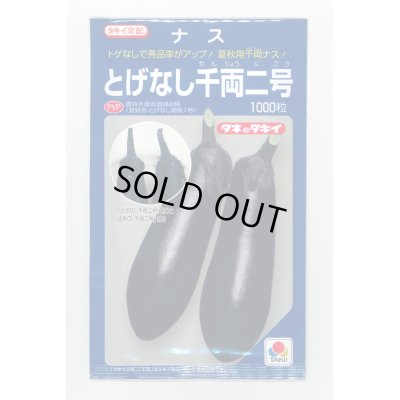 画像1: 送料無料　[なす]　とげなし千両二号　1000粒　タキイ種苗(株)