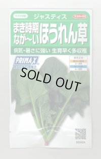 送料無料　[ほうれんそう]　ジャスティス　約900粒　(株)サカタのタネ　実咲350（003014）