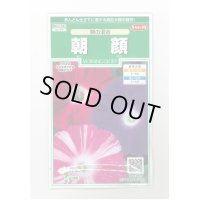 送料無料　花の種　朝顔　暁の混合　小袋　(株)サカタのタネ　実咲250（026192）