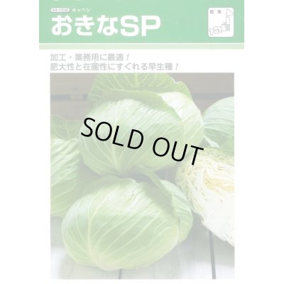 画像2: 送料無料　[キャベツ]　おきなSP　ペレット5000粒　タキイ種苗(株)