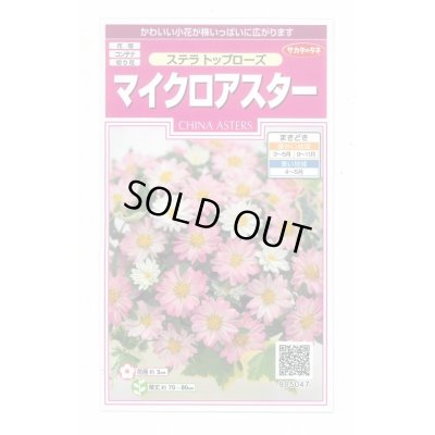 画像1: 送料無料　花の種　マイクロアスター　ステラトップローズ　小袋　(株)サカタのタネ　実咲350（026091）