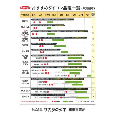 画像4: 送料無料　大根　冬みねセブン　2dl　(株)サカタのタネ