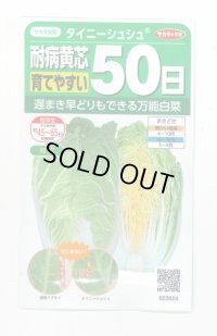 送料無料　[白菜]　タイニーシュシュ　約300粒　(株)サカタのタネ　実咲450（003430）