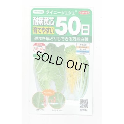 画像1: 送料無料　[白菜]　タイニーシュシュ　約300粒　(株)サカタのタネ　実咲450（003430）