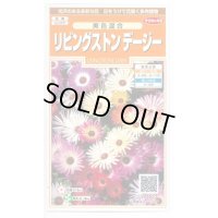 送料無料　花の種　リビングストンデージー　美色混合　約286粒　（株）サカタのタネ　実咲200（026369）