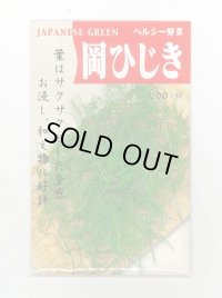 送料無料　[葉物]　岡ひじき　10ml　(株)タカヤマシード