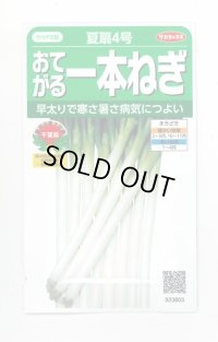 送料無料　[ねぎ]　夏扇4号　約400粒　(株)サカタのタネ　実咲450（003044）