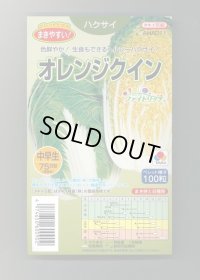 送料無料　[白菜]　オレンジクイン　ペレット　100粒　タキイ種苗(株)