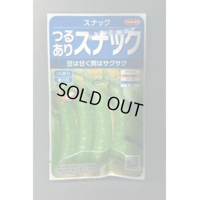 画像1: 送料無料　[えんどう]　つるありスナック　約55粒　(株)サカタのタネ　実咲350（003133）