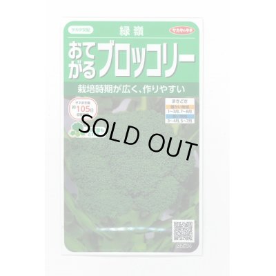 画像1: 送料無料　[ブロッコリー]　緑嶺　約110粒　(株)サカタのタネ　実咲450（002930）