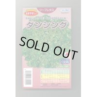 送料無料　[レタス]　ダンシング　ペレット130粒　タキイ種苗(株)